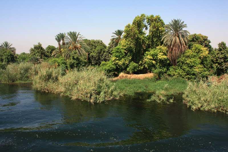 93-Per Kom Ombo,29 luglio 2009.jpg